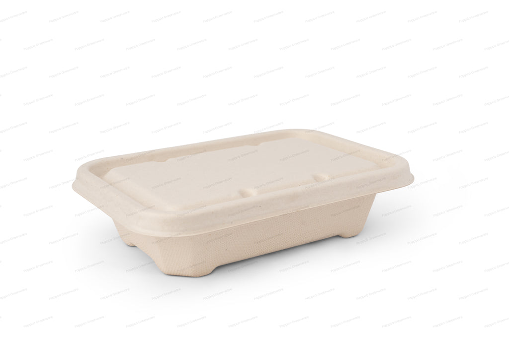 Biodegradable Food Container Degradable Disposable Lunch Bento Box  Cardboard Lunch Box Microwave Paper Plate Dish Restaurant Serving Supplies  Customized Size Manufactory China Manufacturer & Factory