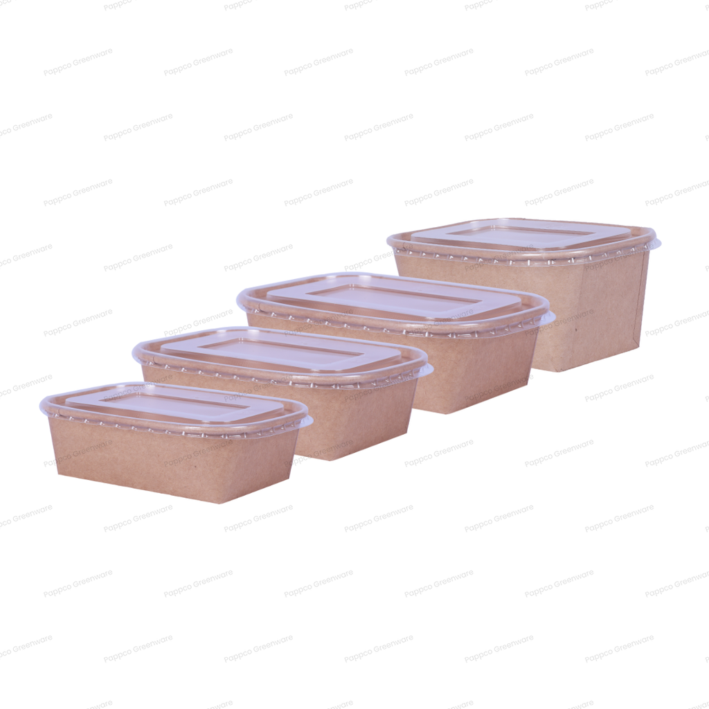 Sample Kit - All Snapit Rectangular Kraft Paper Containers with PP Lid